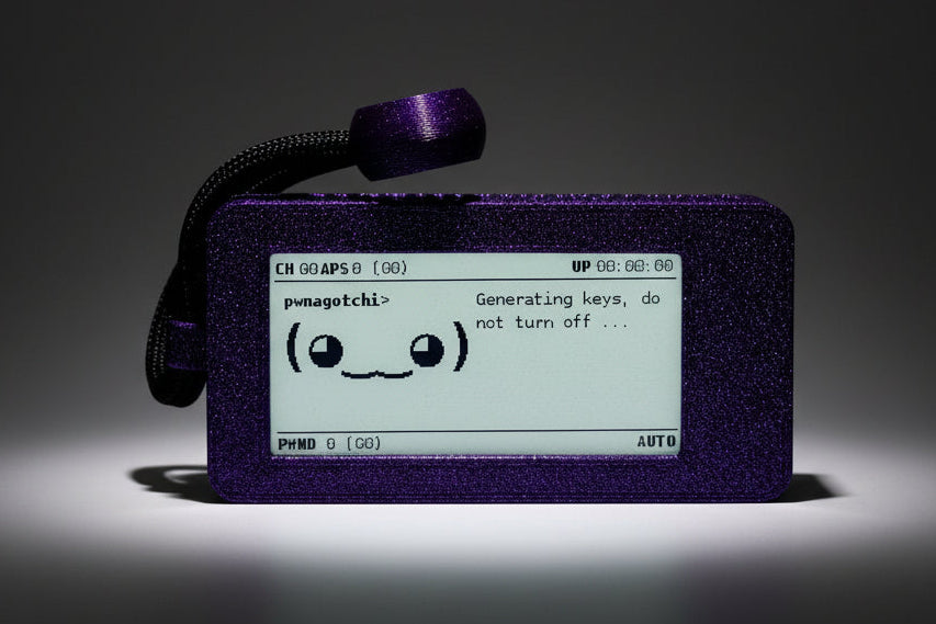 pwnagotchi