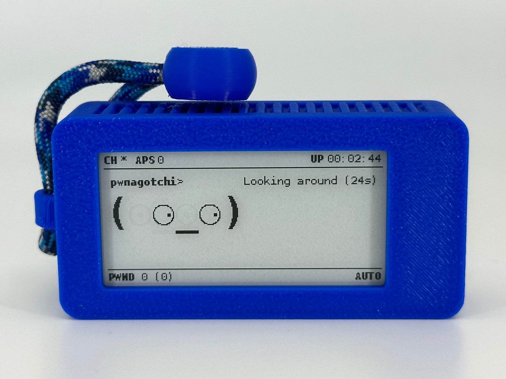 pwnagotchi